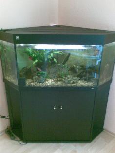 Juwel Aquarium Komplett. ca. 240 Liter