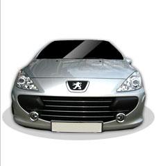 Gewinnen Sie einen Peugeot 307 2. 0/140 Platinum Gebrauchtwagen in silbermetallic