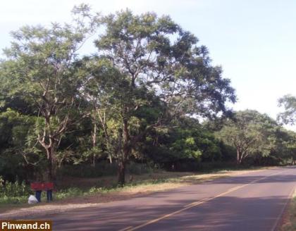 PARAGUAY 1m 1Euro RESIDENZGRUNDSTÜCK ORTSEINFAHRT INDEPENDENCIA 100. 000 m