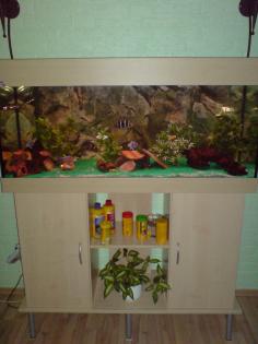 Verk. AQ 240l mit unterschr. zubeh. und Besatz Barsche Welse