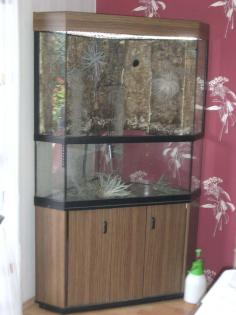 Terrarium/Palludarium mit Unterschrank H175xB107xT68 cm