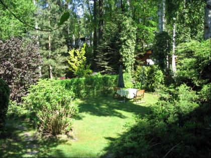 Verkaufe Waldgrundstück in Bucha bei Leipzig