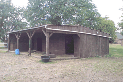 Schönen Offenstallplatz in Havekost für RentnerPony Rehe geeignet