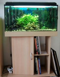 Verkaufe Aquarium