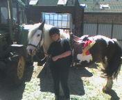 Suche Reitbeteiligung Raum Niederembt-Elsdorf