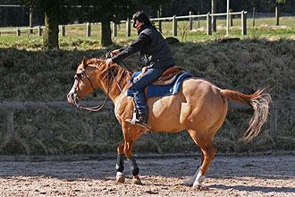 Reitferien für Kinder. Jugendliche und Erwachsene ganzjährig