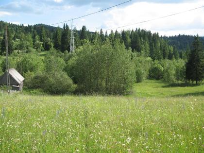 Privatgrundstück in Erholungsort Izvoru Muresului Transilvanien /Rumänien