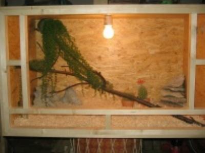 Holzterrarium 100x50x50 60 Euro