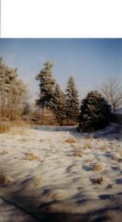 Verkaufe Baugrundstück 1000 qm in ruhiger Lage in der Nähe zum Wald und von Leip
