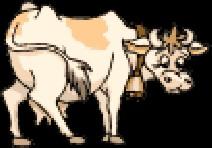 Colostrum Power