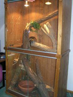 Großes Hoch- Terrarium aus Holz abzugeben