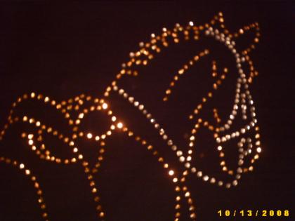 Weihnachtsgeschenk für Pferd und Reiter