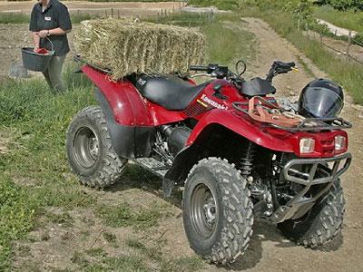 Vermietung Qaud ATV