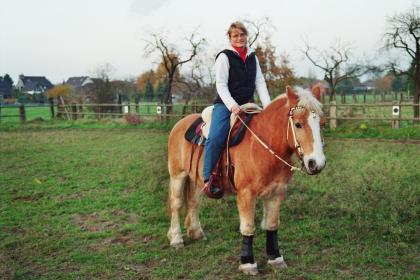 Westernreitbeteiligung gesucht.