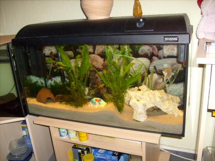 Aquarium mit viel Zubehör TOP wegen Hobbyaufgabe