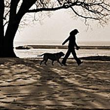 Hundeschule Bleib Hund Verhaltensberatung