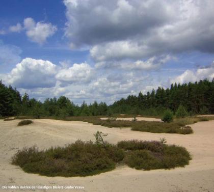 Geotouren geologische Besonderheiten im Amberg-Sulzbacher Land entdecken