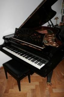 Flügel C. Bechstein B203 zu verkaufen.