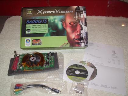 Ge Force 8600 GTS PCI-E 256 MB GDDR3 2 X DVI usw.