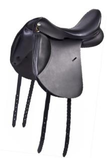 Dressursattel 3monate alt von JC Tango