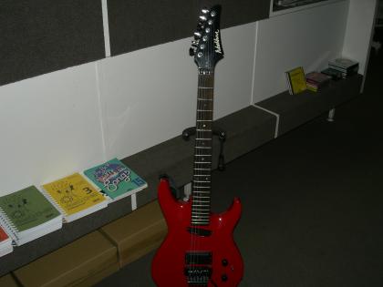 E. Gitarre Washburn B10