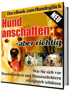 Hund anschaffen - Der Ratgeber
