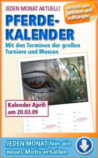 Pferde Kalender kostenlos - perfekt für jeden Stall