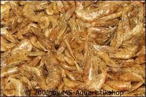 Süßwasser Shrimps Garnelen getrocknet 1 kg