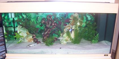 Verkaufe ein 180L Juwel Aquarium in Buche Optik Zubehör