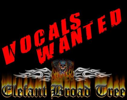 Rock-Vocals-Wanted Bochum