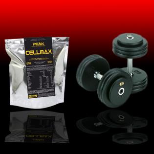 FitWelt Fitness Bodybuilding Kraftsport