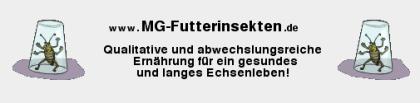 Www. mg-futterinsekten. de - Futterinsekten Futtertiere