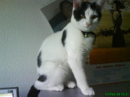 KATER ENTLAUFEN