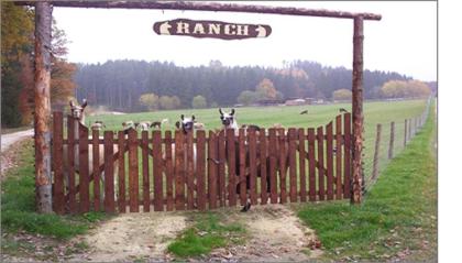 Tag der offenen Tür / LamaRama
