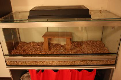 Terrarium komplett aus Spezialglas 1 20m lang