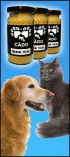 Ältere Hunde und Katzen schwach und antrieblos