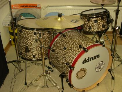 Ddrum Diatribe Birch-Shells 22 12 18 14 SD
