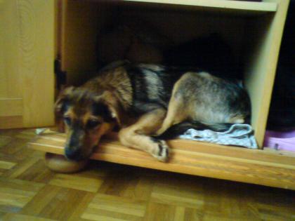 DRINGEND 2 ZIMMER WOHNUNG