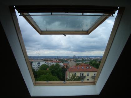 VELUX Klapp-Schwing-Fenster 45 Öffnungswinkel Panorama
