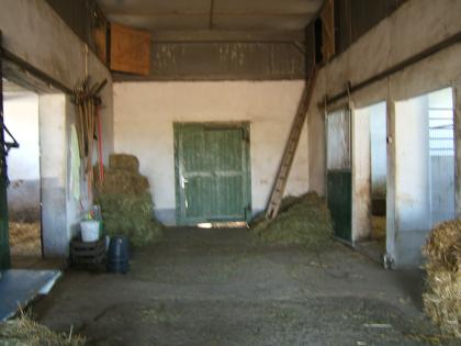 BOXEN FREI