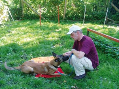 Hundetrainer zuhause individuell und maßgeschneidert