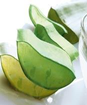 Beauty und Wellness