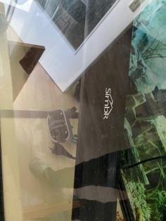 2 Axolotl inkl Aquarium und komplettem Setup zu verschenken