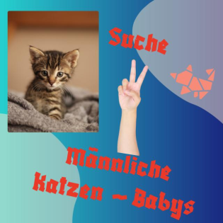 Suche