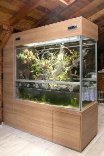 Kleinanzeige Aquaterrarium / Paludarium für Krokodilschwanzechsen Rotaugen-Busc