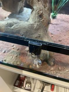 Terrarium inkl. Zubehör ideal für Reptilien abzugeben
