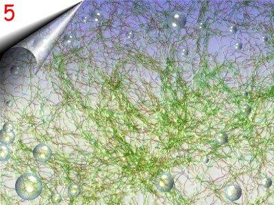 Nail Art Laser Lace - Nagel Netz um 2 40Euro