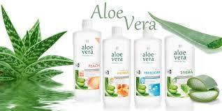 Aloe Vera - die Kraft der Natur