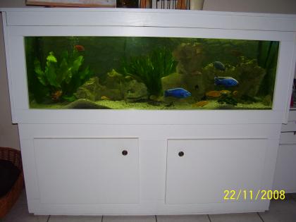 Komplettes Aquarium mit Schrank Technik und Besatz 150x50x50cm 375l