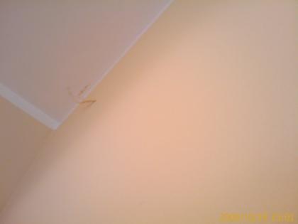 INNANAUSBAU AUS POLEN. Fliesen. Maler. Tepezierarbeiten